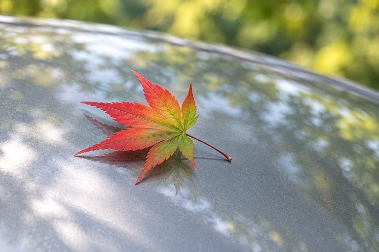 大矢田神社への秋の車での訪問を題材にした生成イメージ